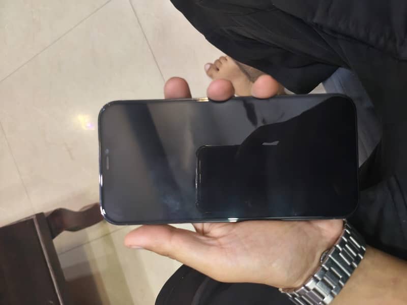 Apple iPhone 12 Pro Max 1