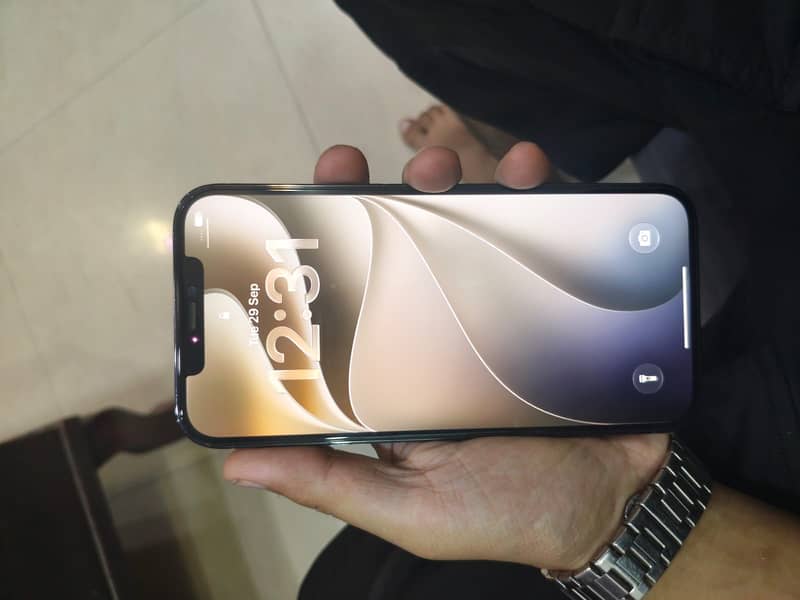 Apple iPhone 12 Pro Max 3