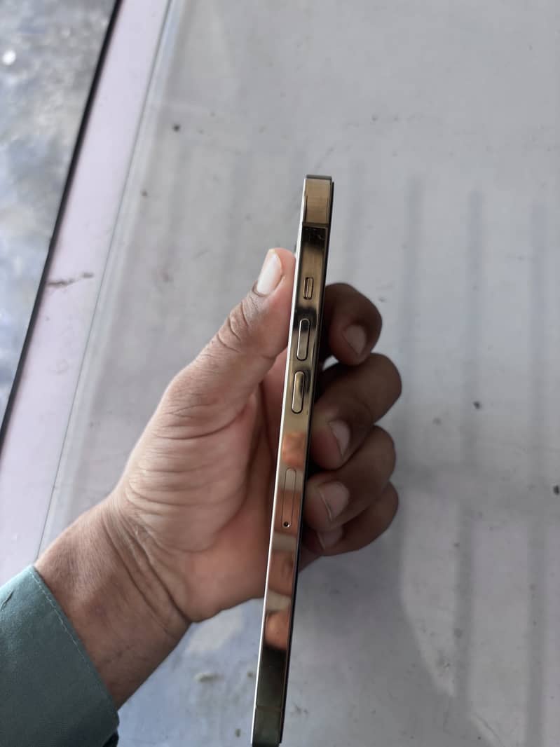 Apple iPhone 12 Pro Max 8