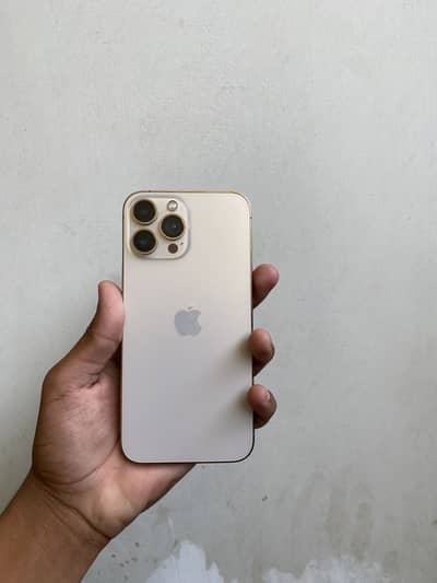 Apple iPhone 13 Pro Max