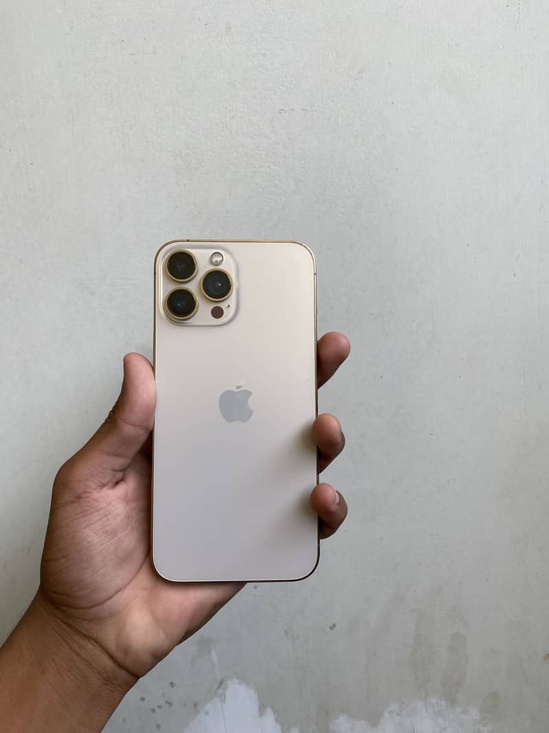 Apple iPhone 13 Pro Max 0