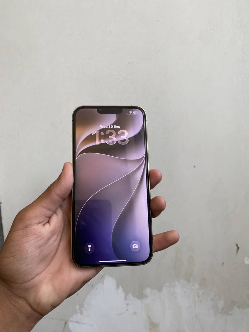 Apple iPhone 13 Pro Max 1