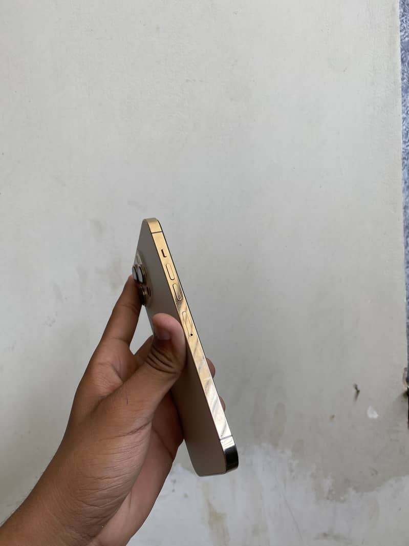 Apple iPhone 13 Pro Max 2