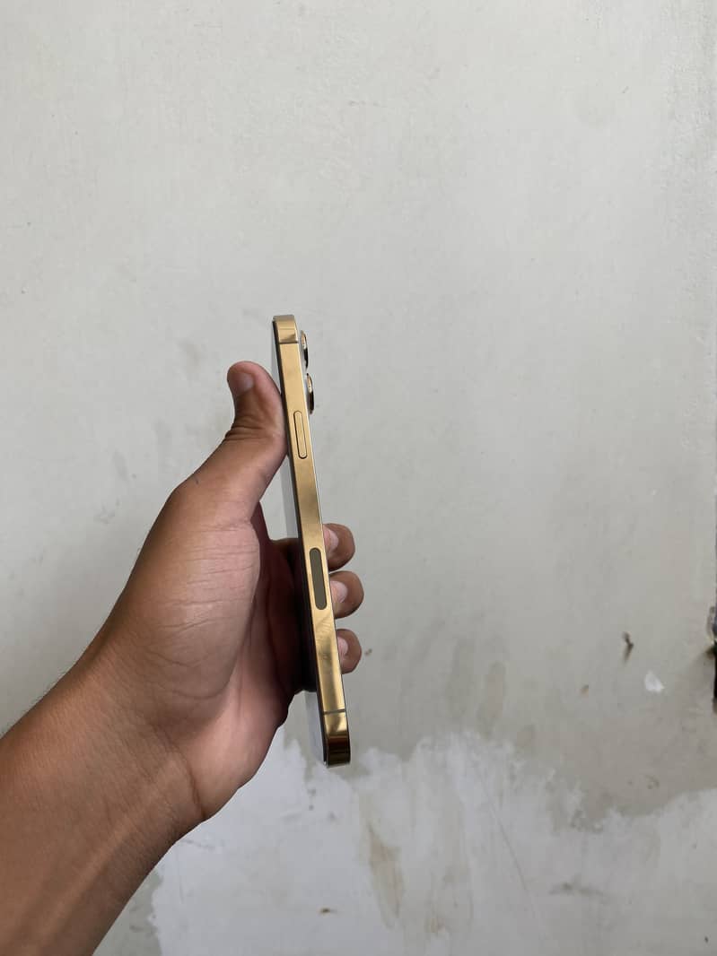 Apple iPhone 13 Pro Max 3
