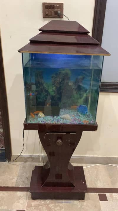 fish aquarium 2 pair gold fish  with imported filter  dacuration  pice