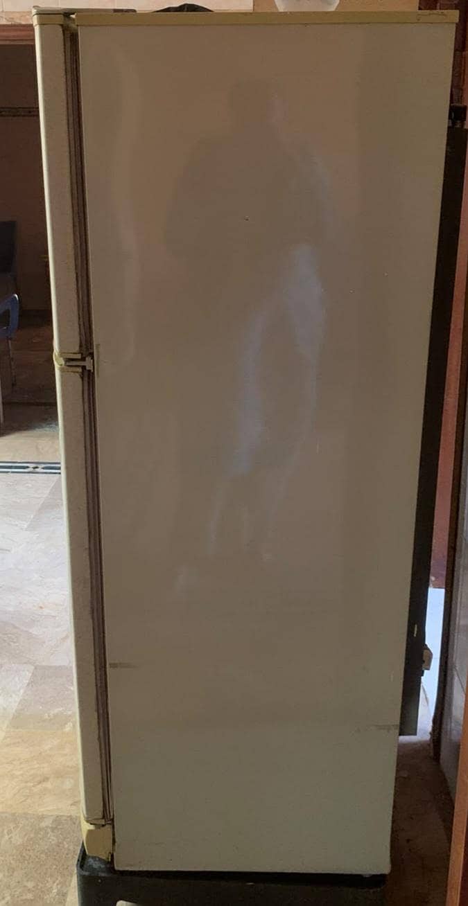 PEL Double Door Refrigerator – Full Working Condition & Fast Cooling 1