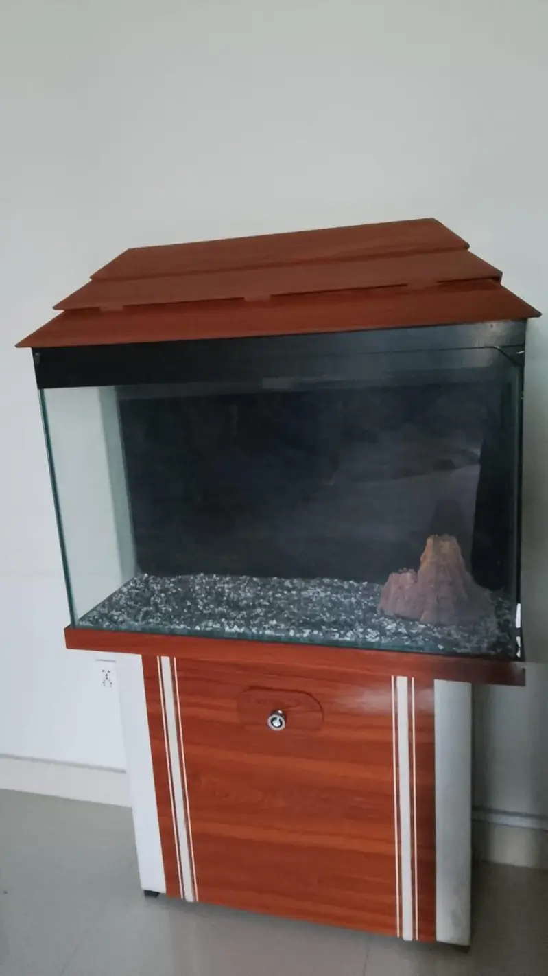large 3foot fish aquarium for both marine and fresh water — photo 2