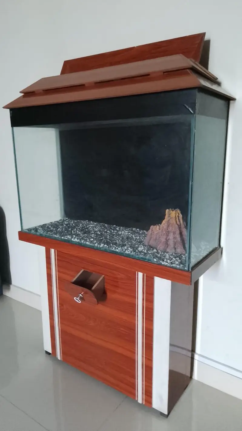 large 3foot fish aquarium for both marine and fresh water — photo 3