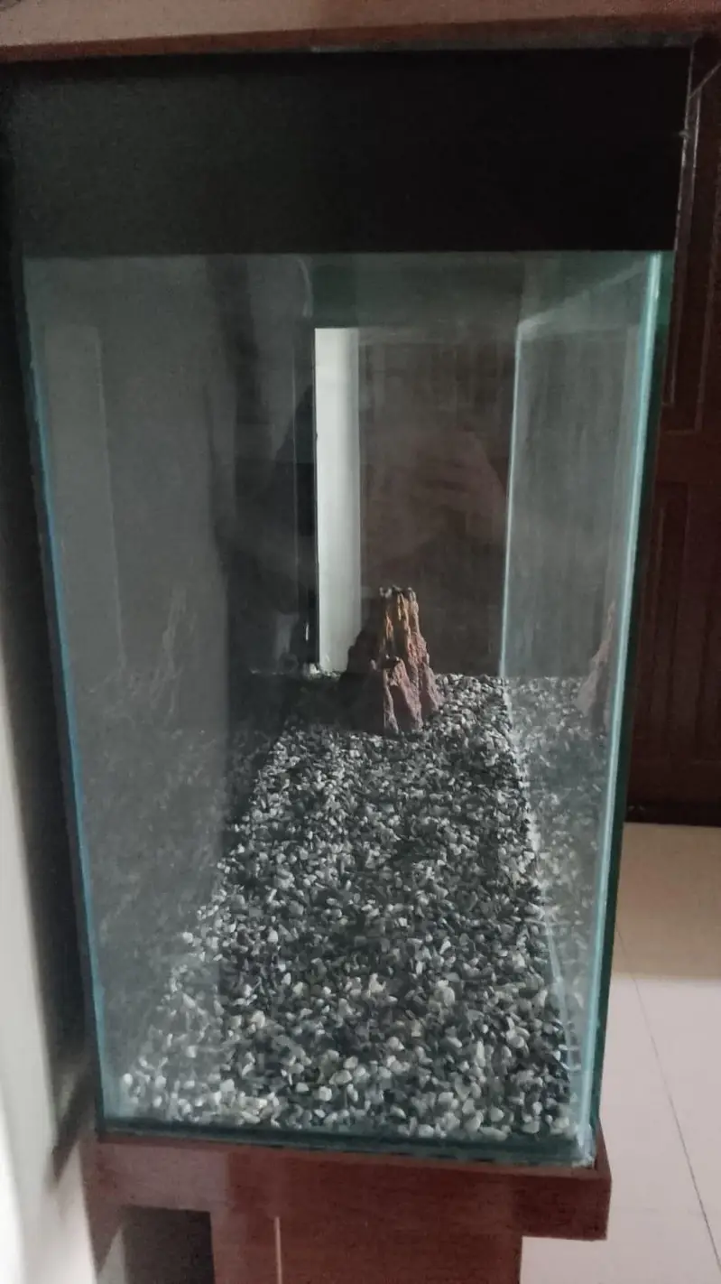 large 3foot fish aquarium for both marine and fresh water — photo 4