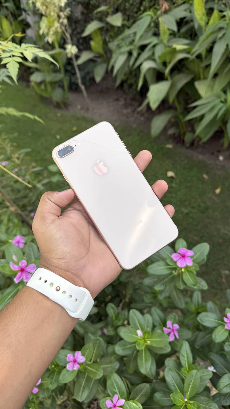 Apple iPhone 8 Plus 1