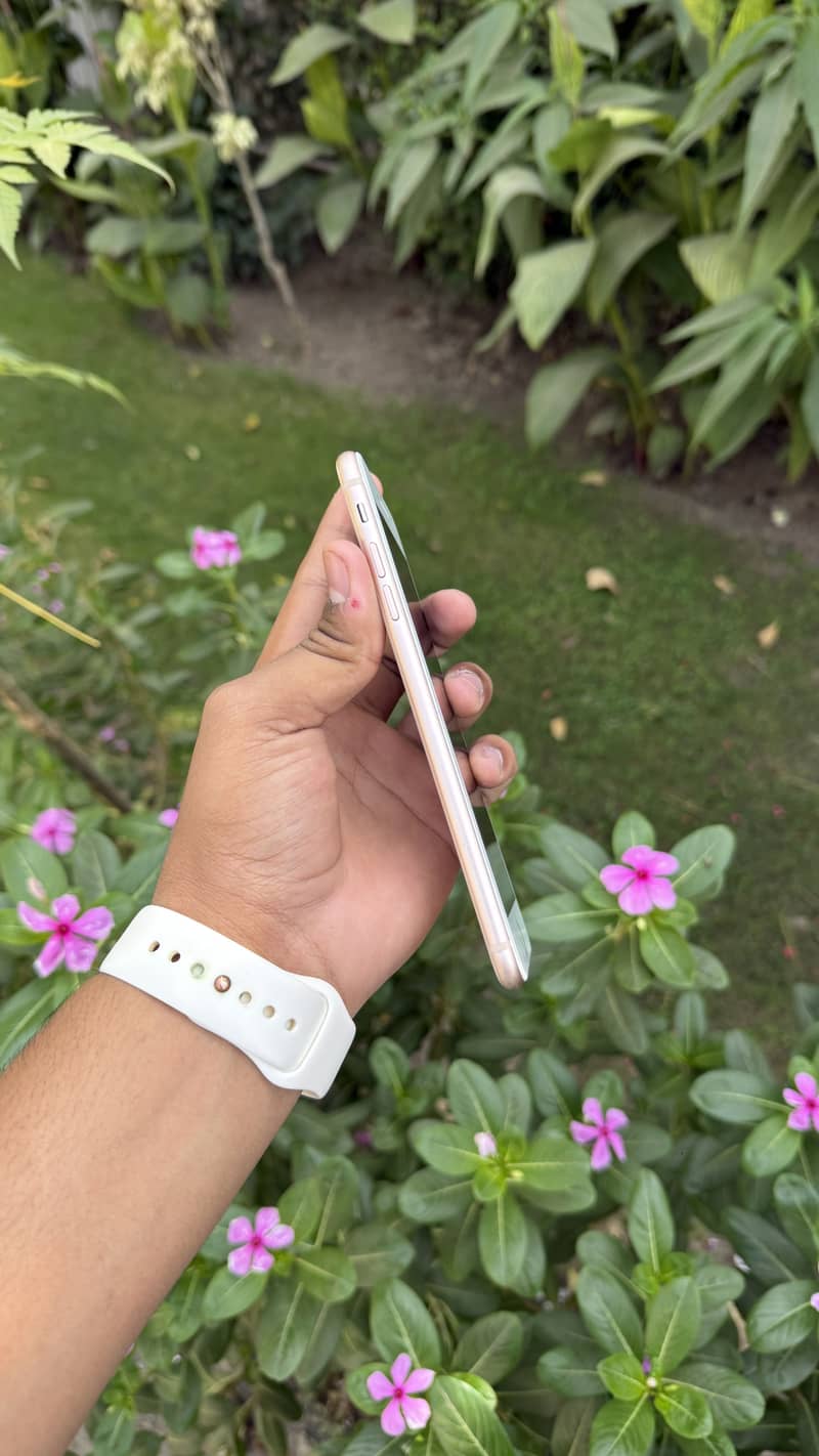 Apple iPhone 8 Plus 3