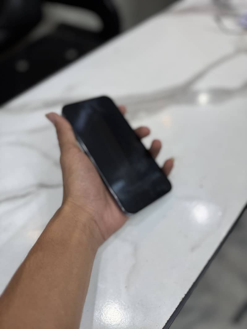 Apple iPhone 13 Pro Max 1