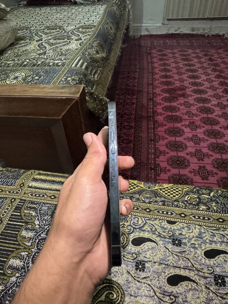 Apple iPhone 13 Pro Max 1