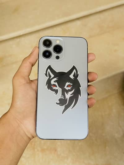 Apple iPhone 13 Pro Max
