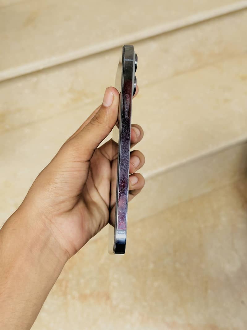 Apple iPhone 13 Pro Max 1