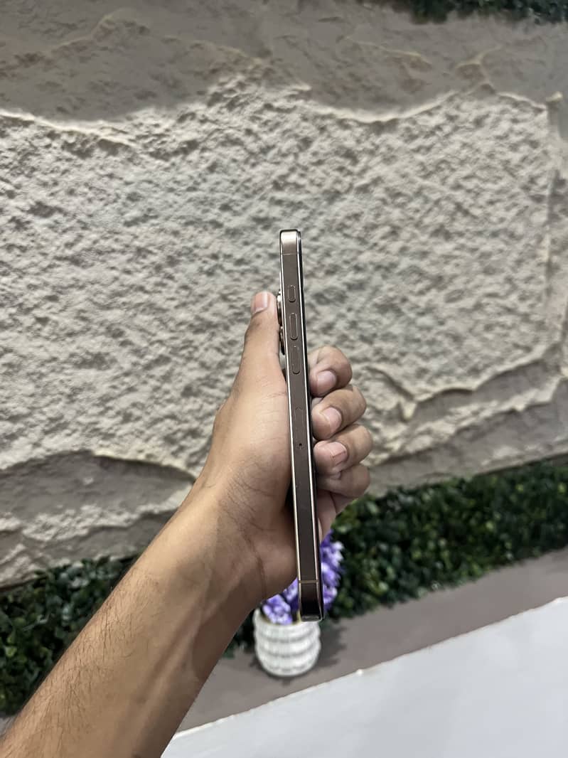 iPhone 16 Pro Max fu 10