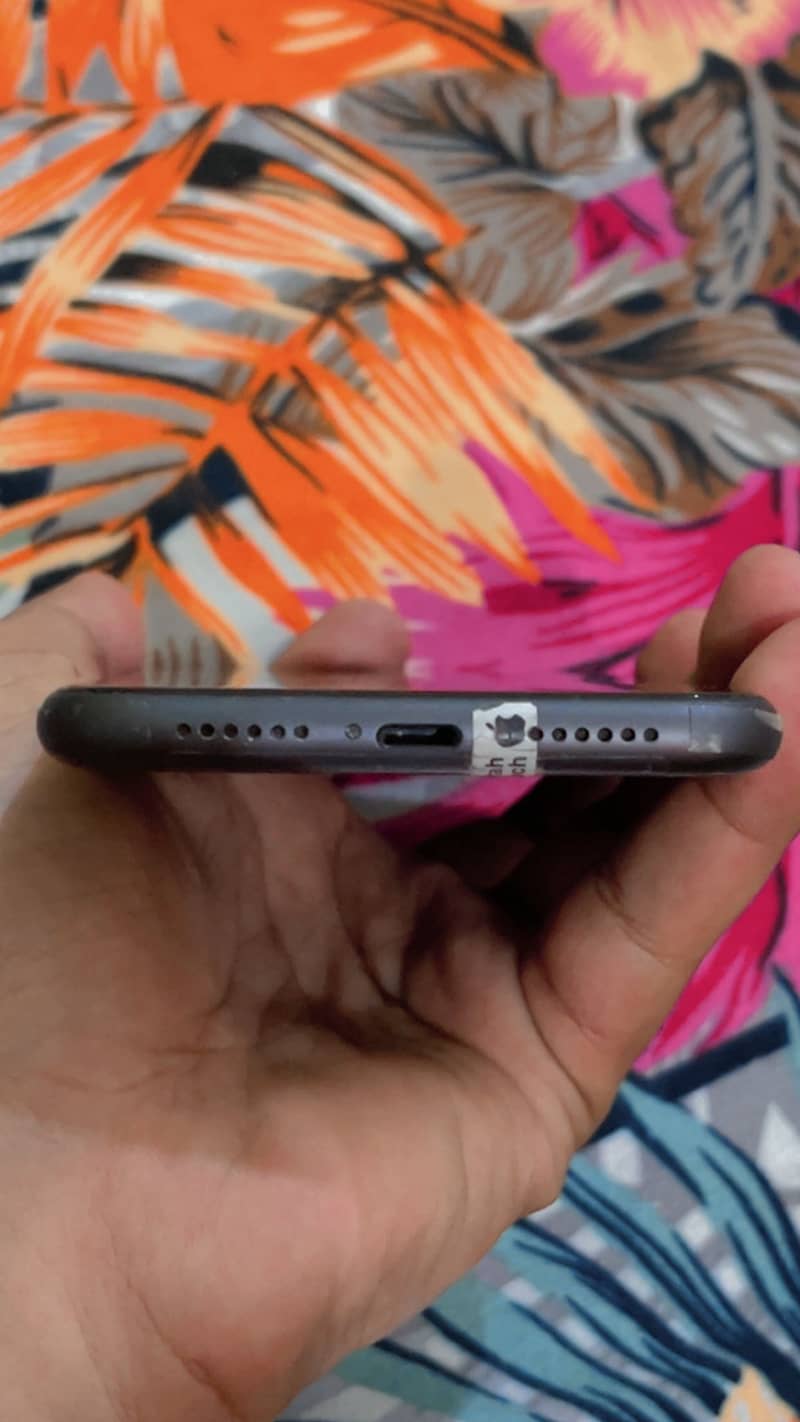 Apple iPhone 11 2