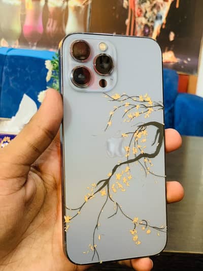 Apple iPhone 13 Pro Max