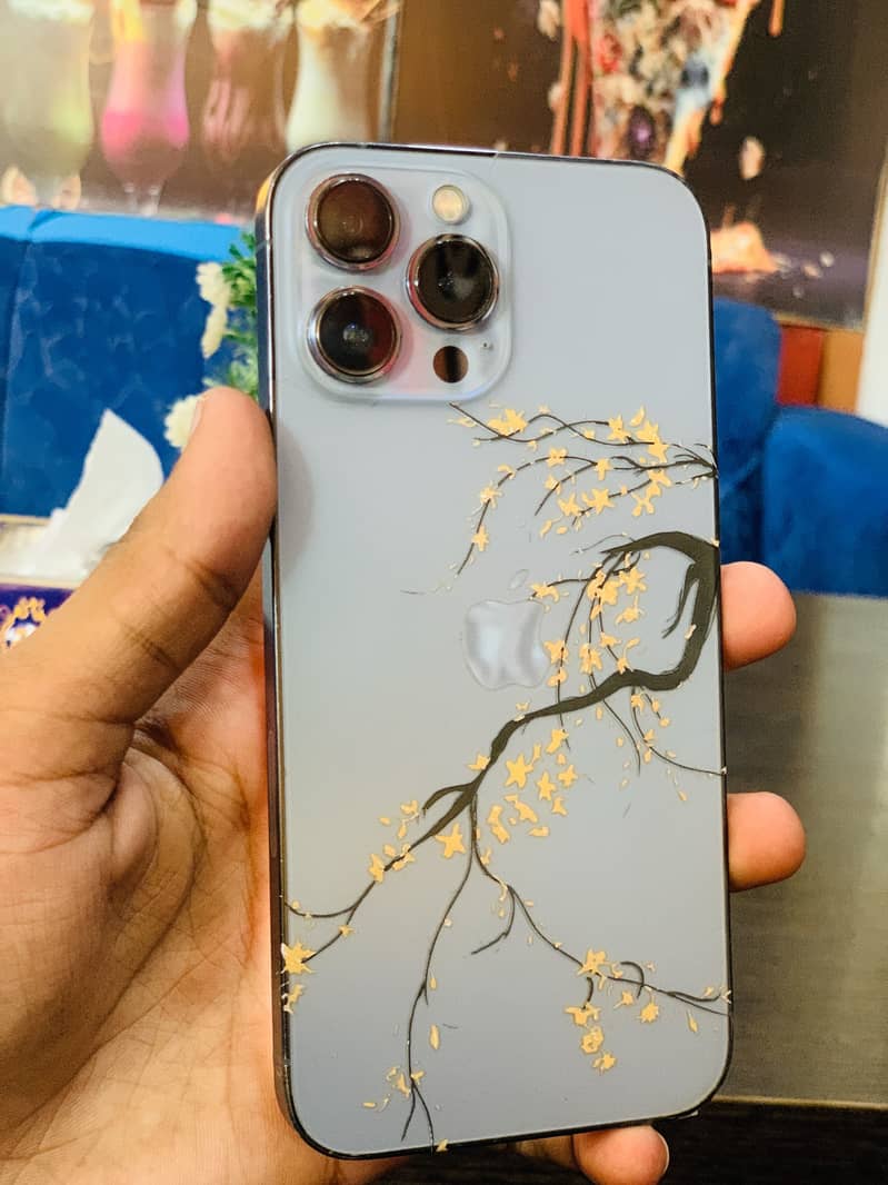 Apple iPhone 13 Pro Max 0