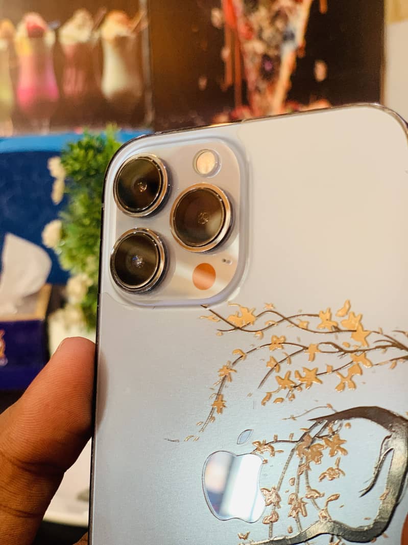 Apple iPhone 13 Pro Max 1