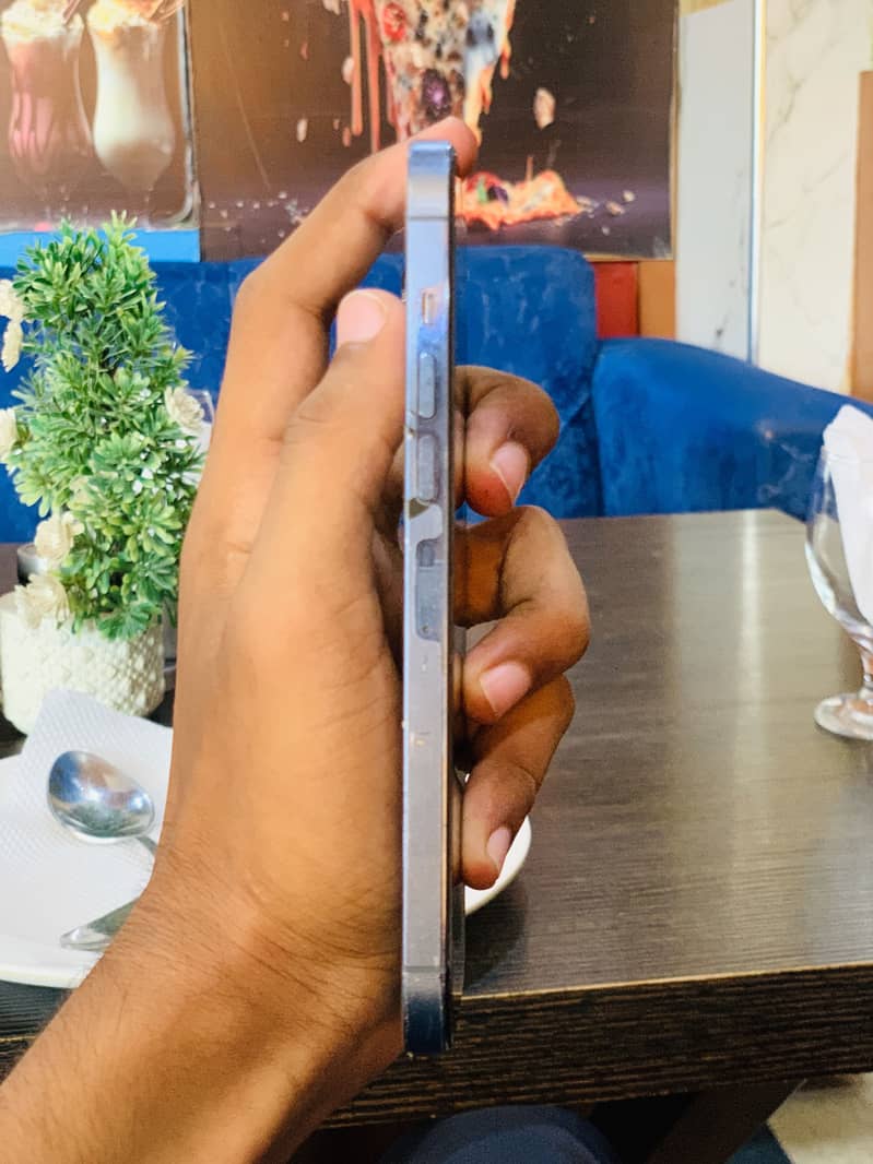 Apple iPhone 13 Pro Max 4