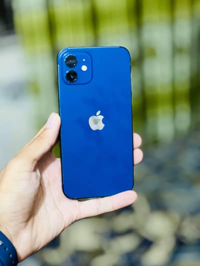 iPhone 12 Urgent Sale