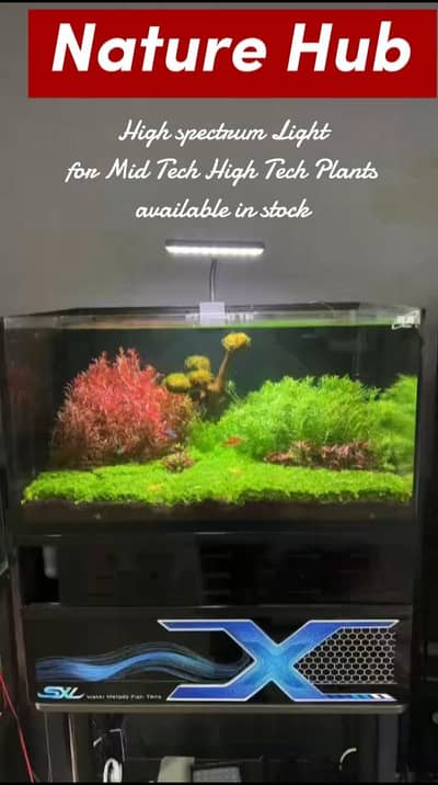 Aquarium fish bowl Aquarium plants live decoration