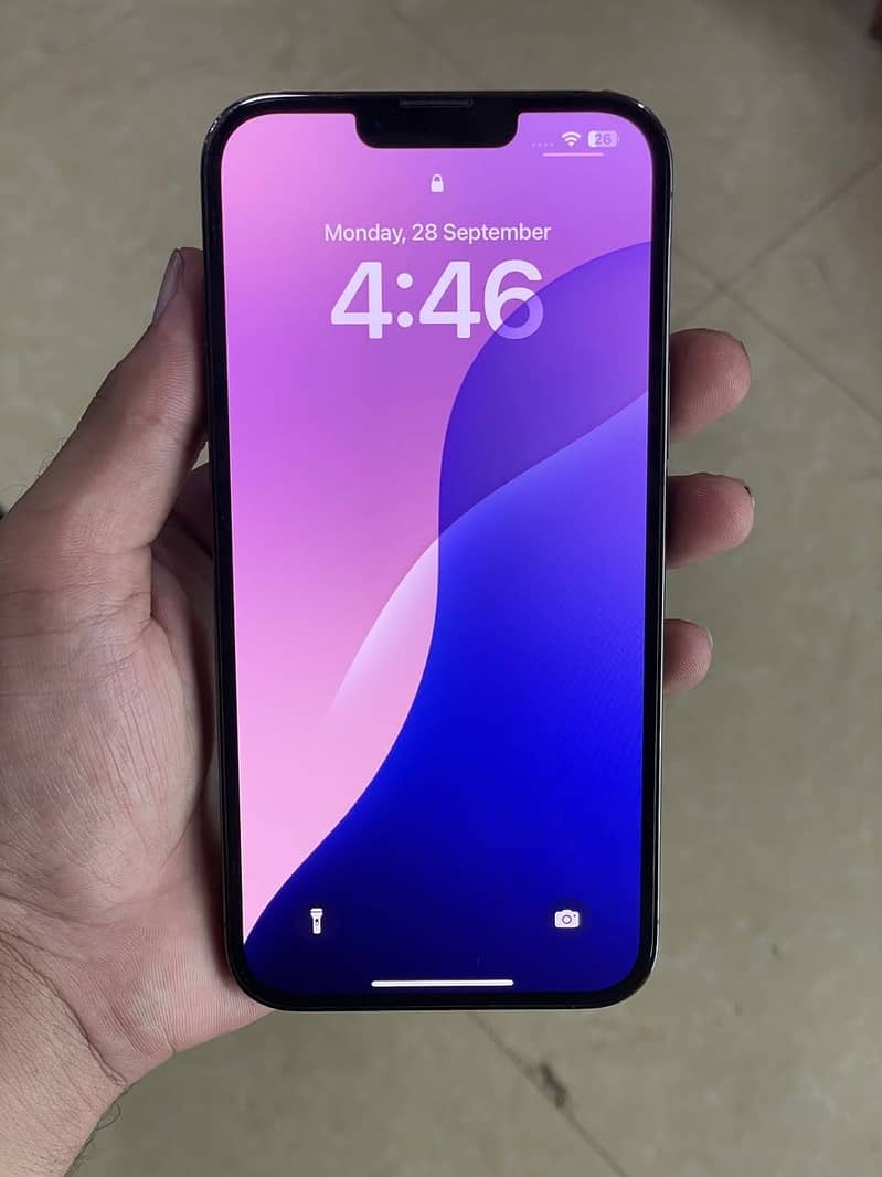 Apple iPhone 13 Pro Max 1