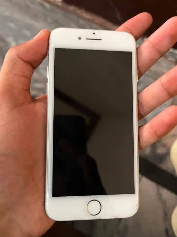 Apple iPhone 7 1