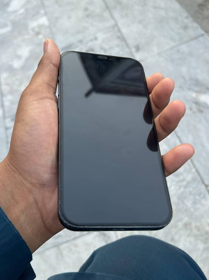 Apple iPhone 12 Pro Max 10