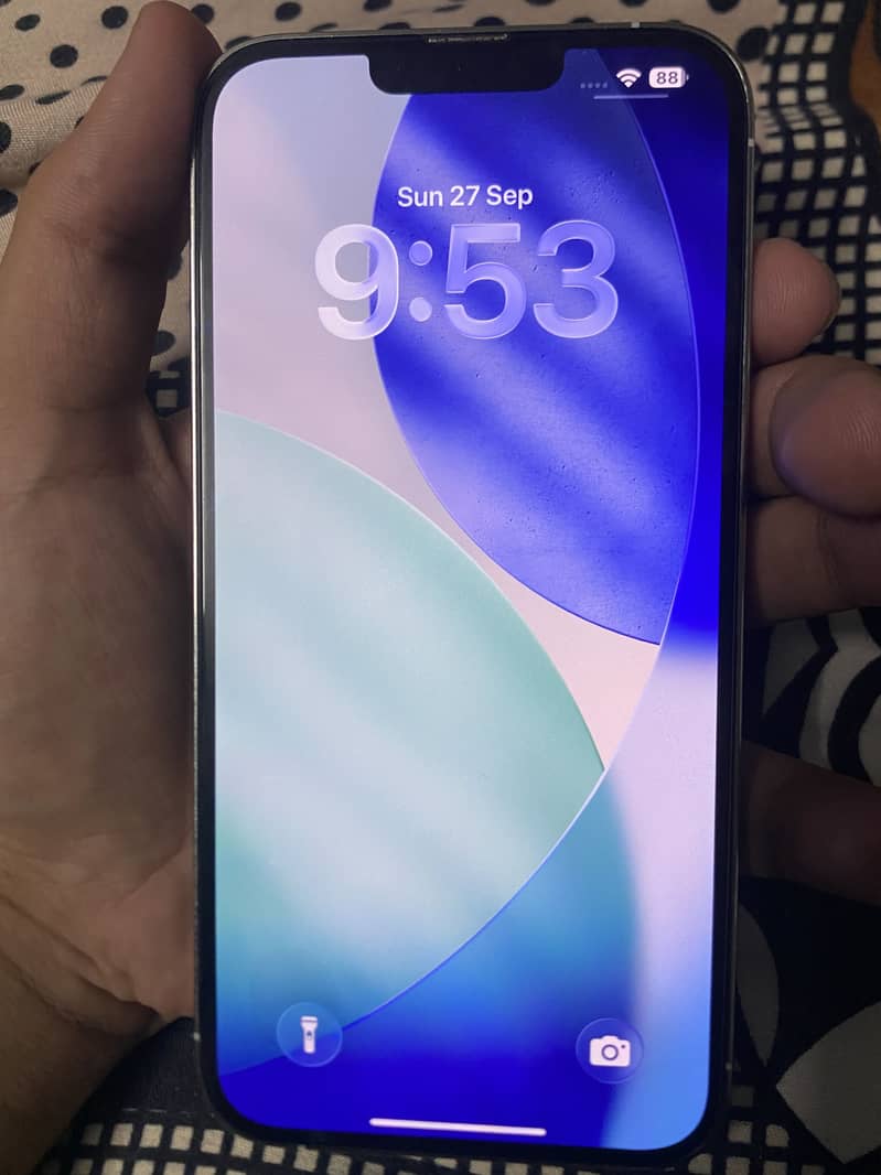 Apple iPhone 13 Pro Max 1