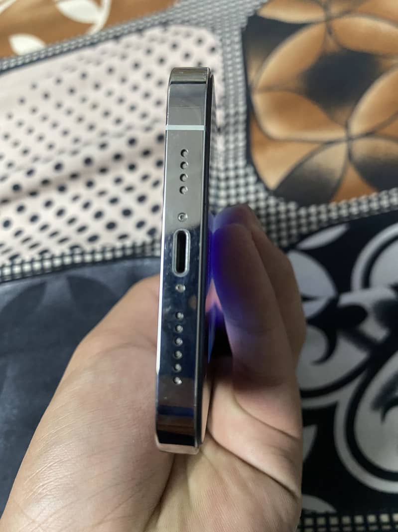 Apple iPhone 13 Pro Max 2