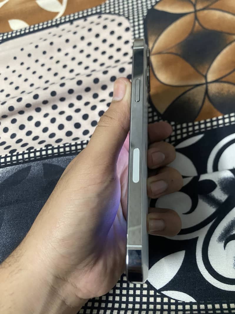 Apple iPhone 13 Pro Max 4