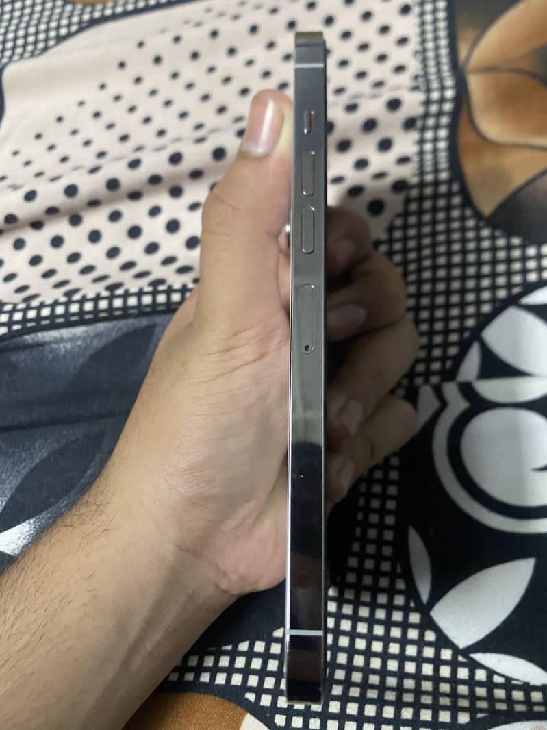 Apple iPhone 13 Pro Max 5
