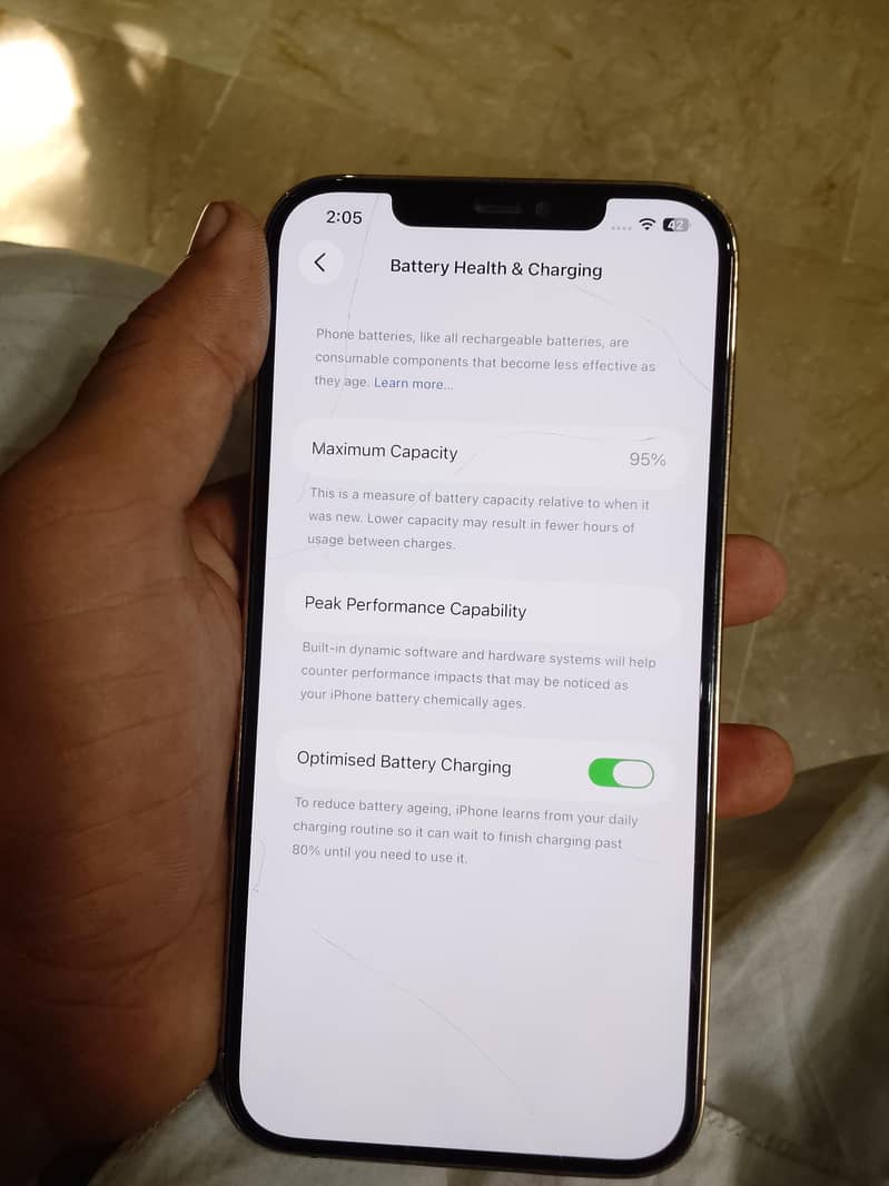 Apple iPhone 12 Pro Max 1