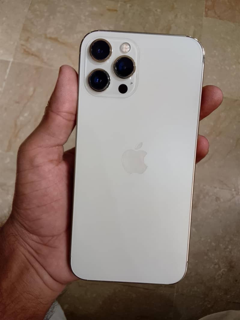 Apple iPhone 12 Pro Max 2