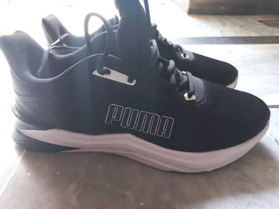 Original New Puma shoes