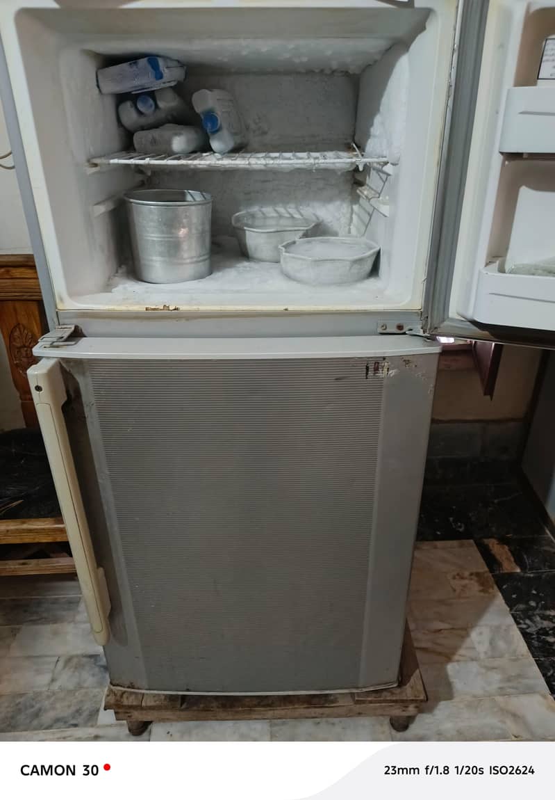 fridge 2