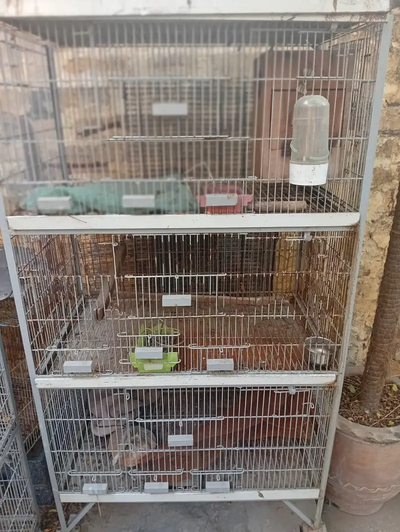 bird cages/parrot cages for sale Good condition — photo 2
