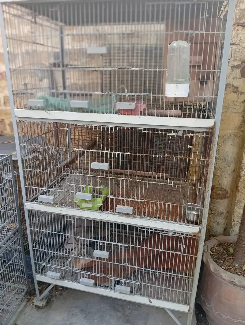 bird cages/parrot cages for sale Good condition — photo 3