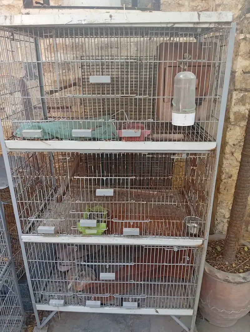 bird cages/parrot cages for sale Good condition — photo 4