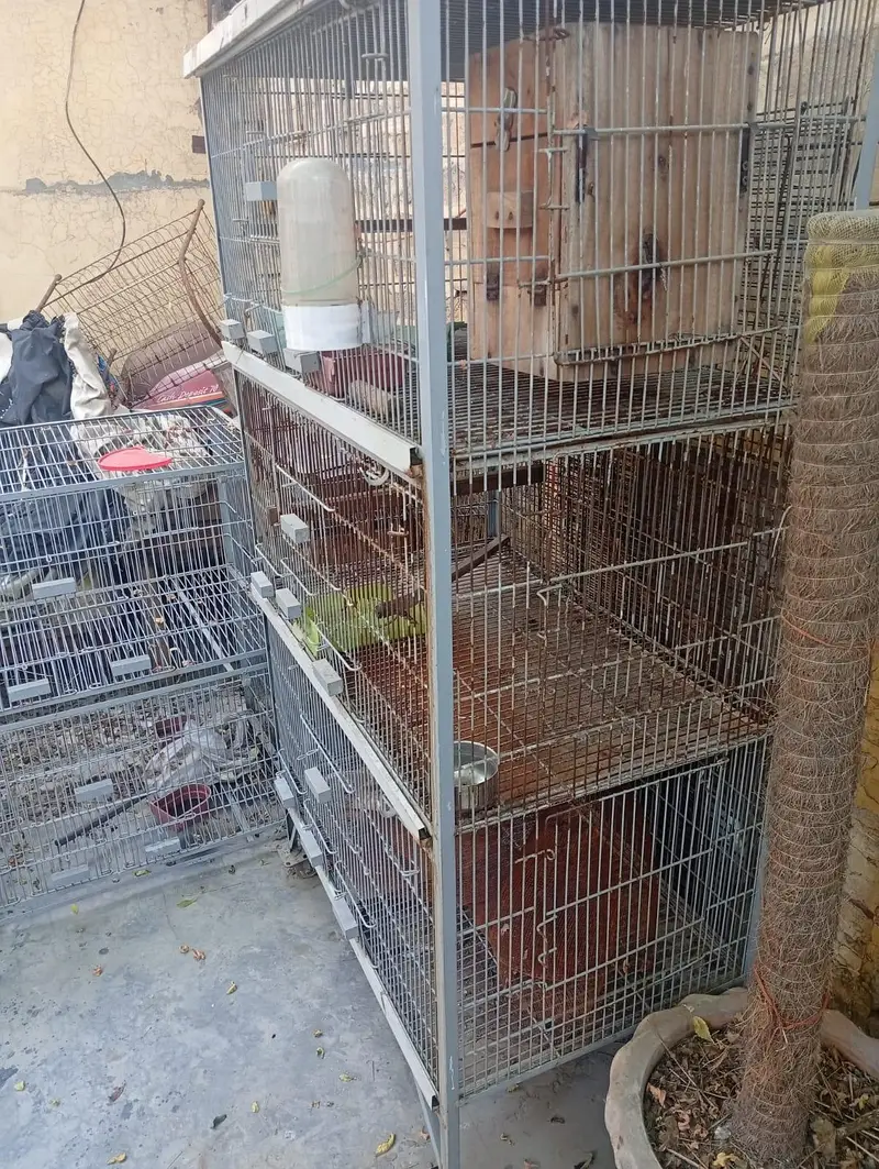 bird cages/parrot cages for sale Good condition — photo 5