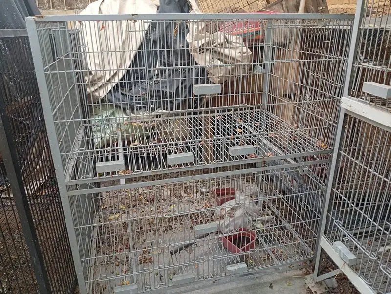 bird cages/parrot cages for sale Good condition — photo 6
