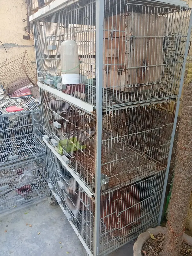 bird cages/parrot cages for sale Good condition — photo 7