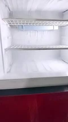 Kenwood Refrigerator