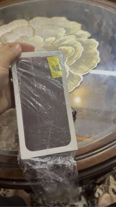 Iphone 18 pro max 1 TB