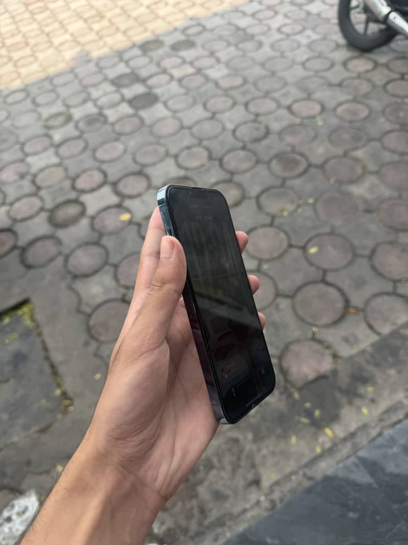Apple iPhone 13 Pro Max 1