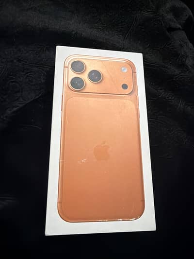17 pro max