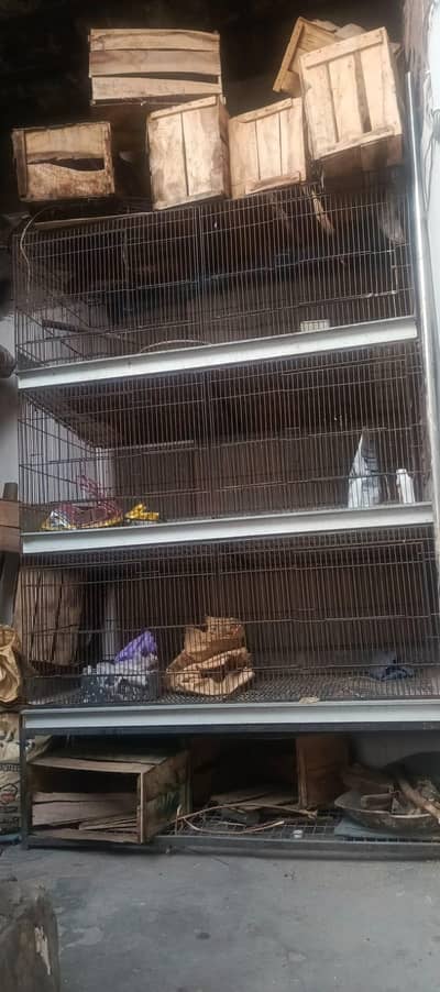 large size iron cage