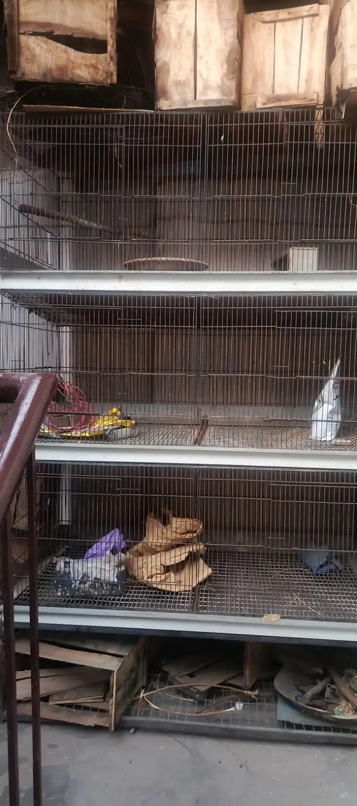 large size iron cage — photo 2